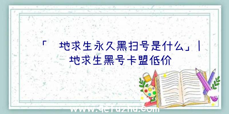 「绝地求生永久黑扫号是什么」|绝地求生黑号卡盟低价